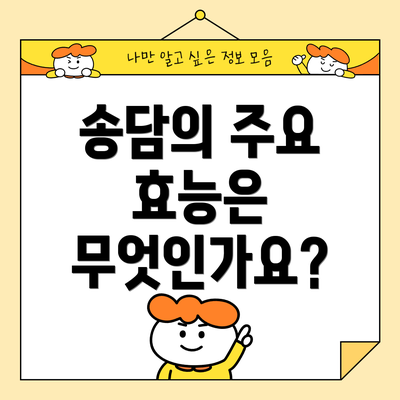 송담의 주요 효능은 무엇인가요?