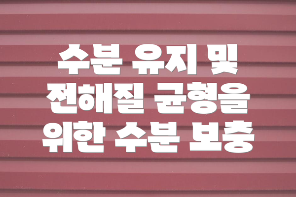 수분 유지 및 전해질 균형을 위한 수분 보충
