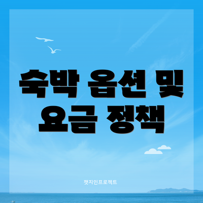 숙박 옵션 및 요금 정책