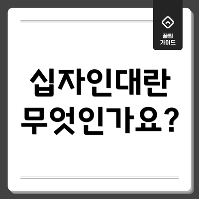 십자인대란 무엇인가요?