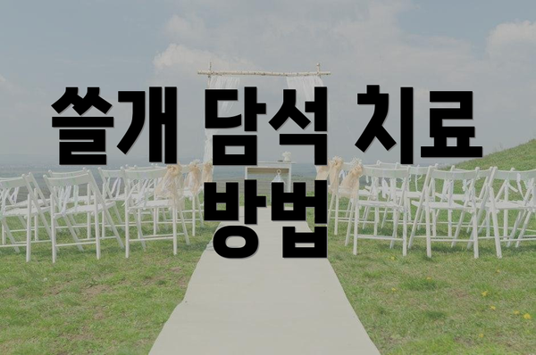 쓸개 담석 치료 방법