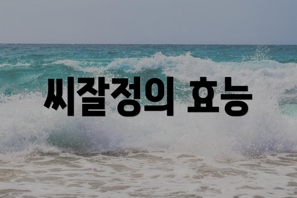 씨잘정의 효능