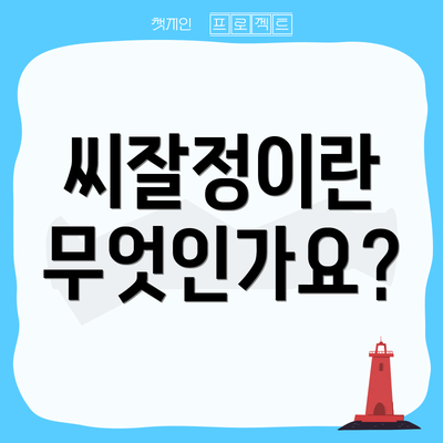씨잘정이란 무엇인가요?