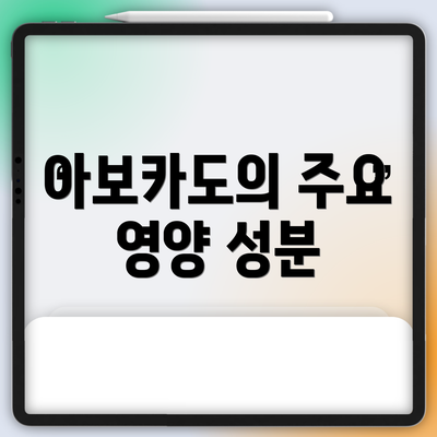 아보카도의 주요 영양 성분