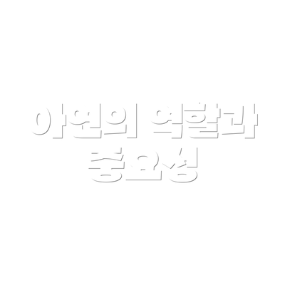 아연의 역할과 중요성