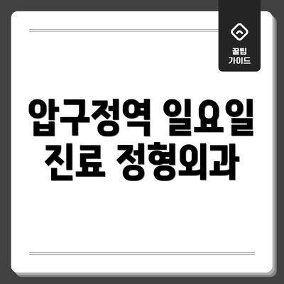 압구정역 일요일 진료 정형외과