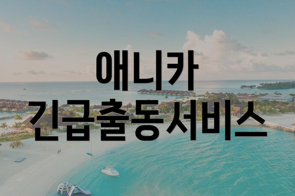 애니카 긴급출동서비스
