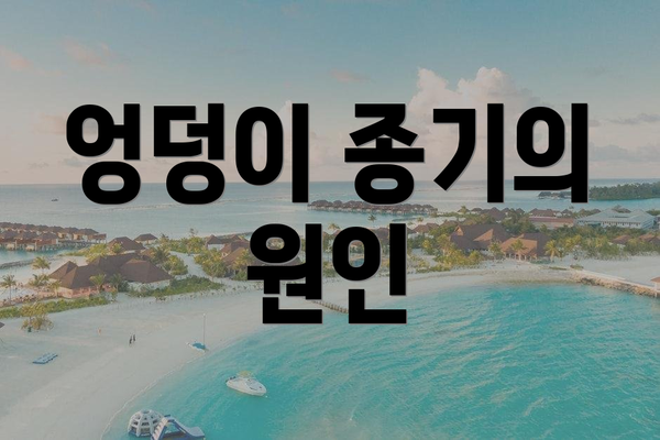 엉덩이 종기의 원인
