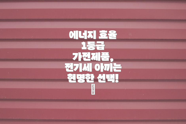 에너지 효율 1등급 가전제품, 전기세 아끼는 현명한 선택! 🥇