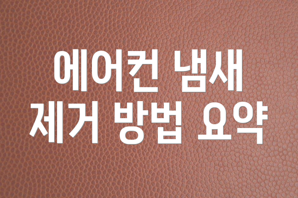 에어컨 냄새 제거 방법 요약