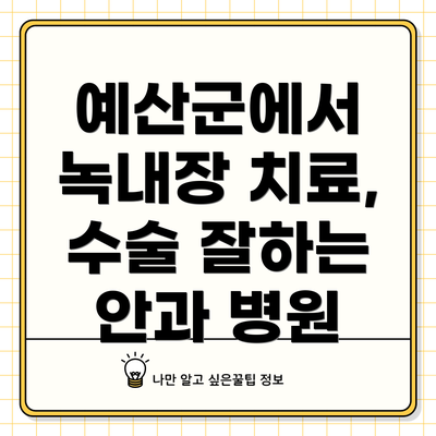 예산군에서 녹내장 치료, 수술 잘하는 안과 병원