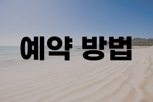 예약 방법