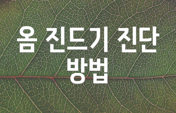 옴 진드기 진단 방법