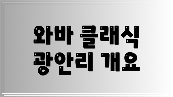 와바 클래식 광안리 개요