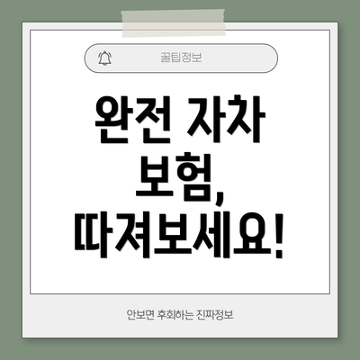 완전 자차 보험, 따져보세요!