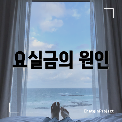 요실금의 원인