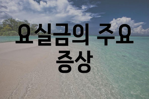 요실금의 주요 증상