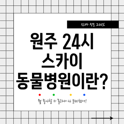 원주 24시 스카이 동물병원이란?