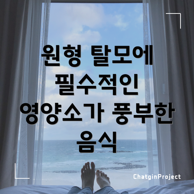 원형 탈모에 필수적인 영양소가 풍부한 음식