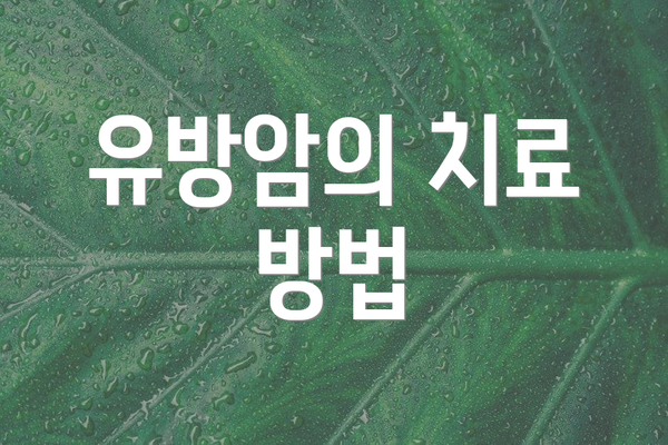 유방암의 치료 방법