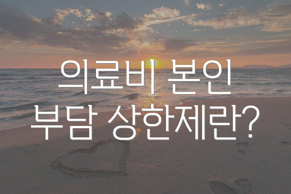 의료비 본인 부담 상한제란?