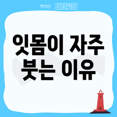 잇몸이 자주 붓는 이유