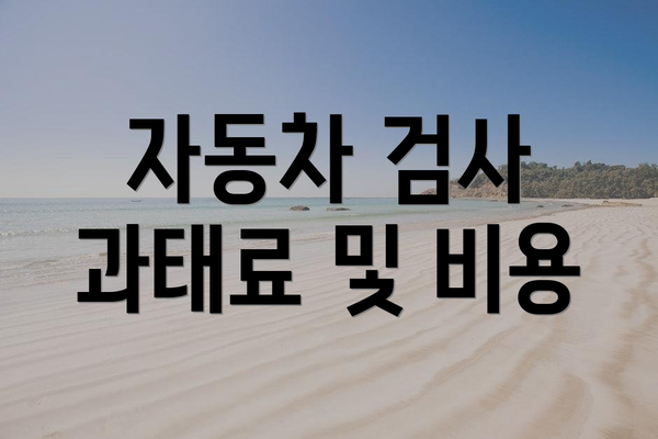 자동차 검사 과태료 및 비용