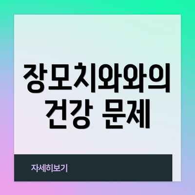 장모치와와의 건강 문제