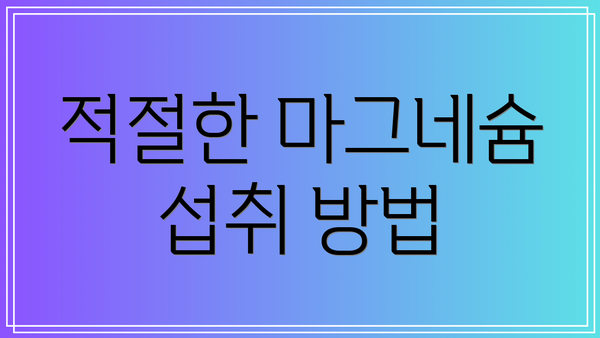 적절한 마그네슘 섭취 방법