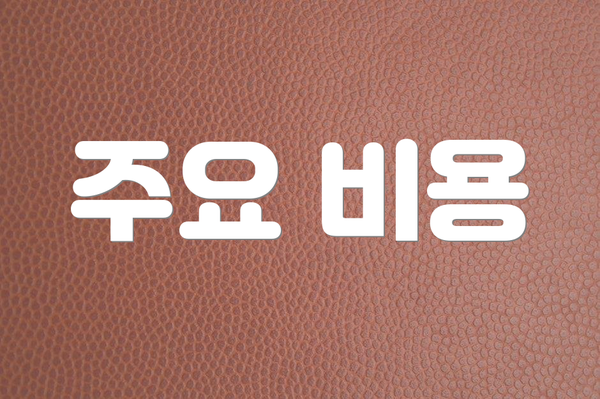 주요 비용