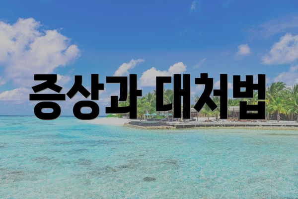 증상과 대처법