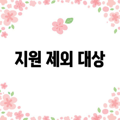 지원 제외 대상