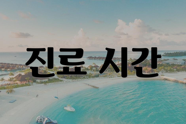 진료 시간