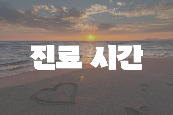 진료 시간