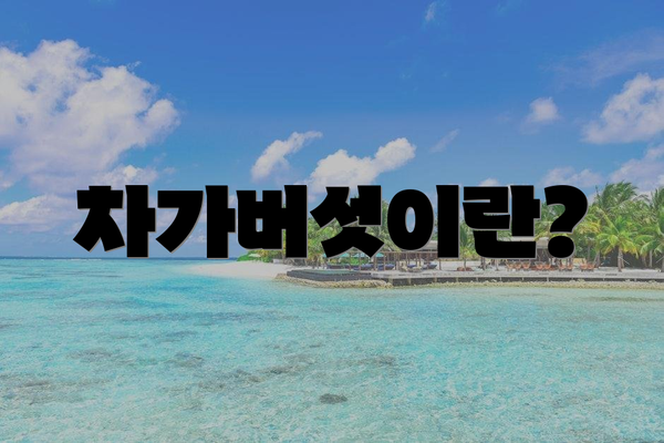 차가버섯이란?