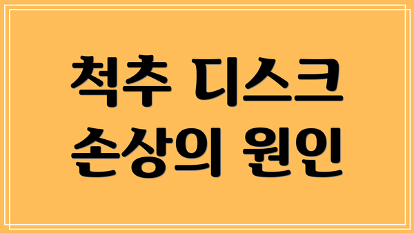 척추 디스크 손상의 원인