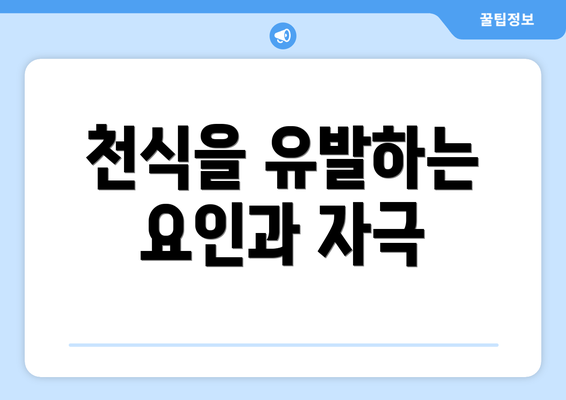 천식을 유발하는 요인과 자극