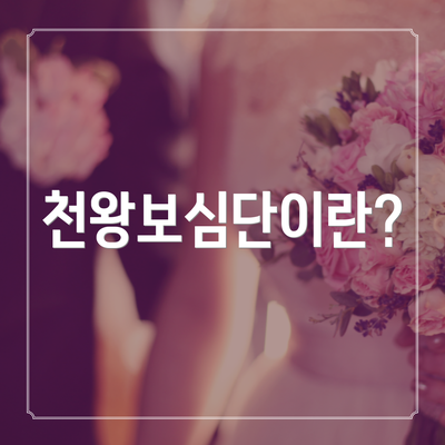 천왕보심단이란?