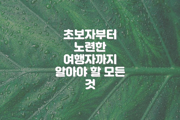 초보자부터 노련한 여행자까지 알아야 할 모든 것