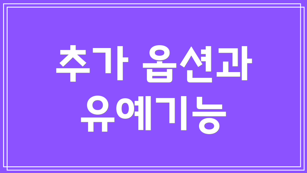 추가 옵션과 유예기능