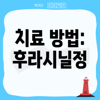 치료 방법: 후라시닐정