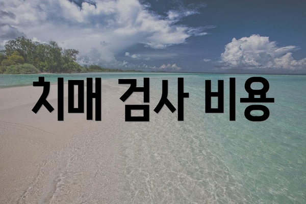 치매 검사 비용