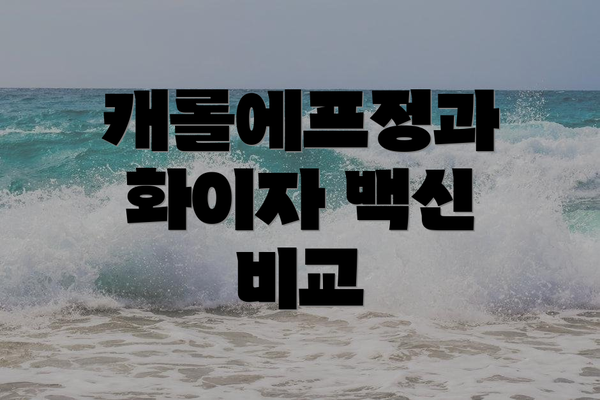 캐롤에프정과 화이자 백신 비교