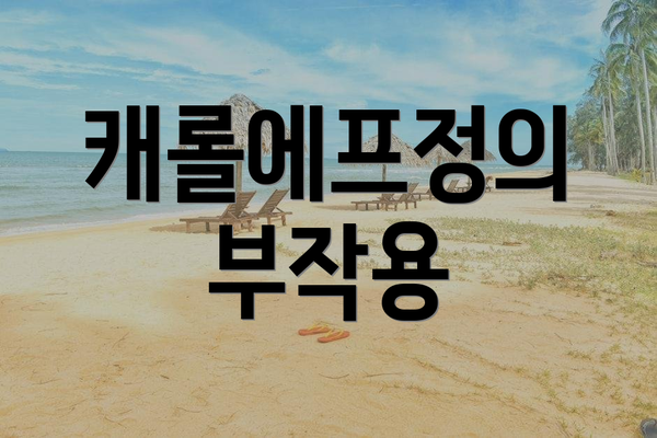 캐롤에프정의 부작용