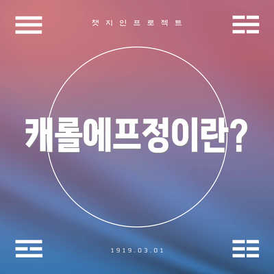 캐롤에프정이란?