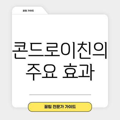 콘드로이친의 주요 효과