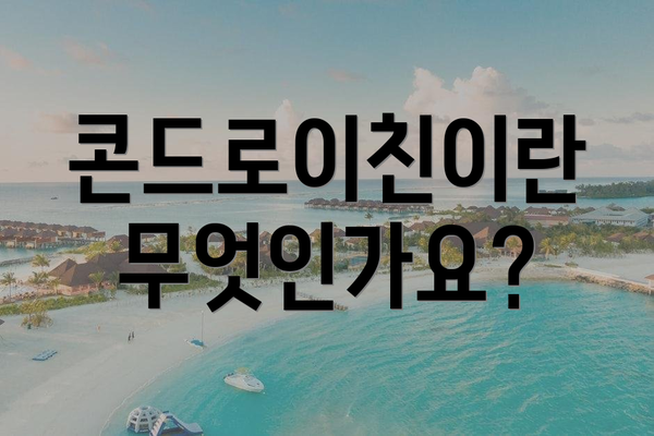 콘드로이친이란 무엇인가요?