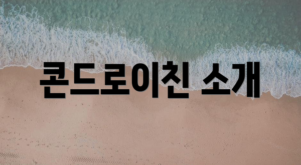 콘드로이친 소개