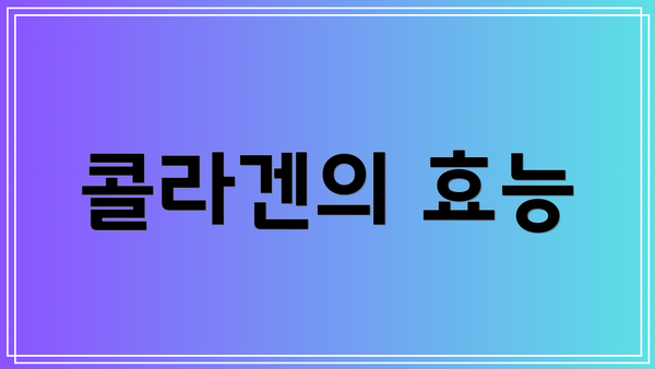 콜라겐의 효능