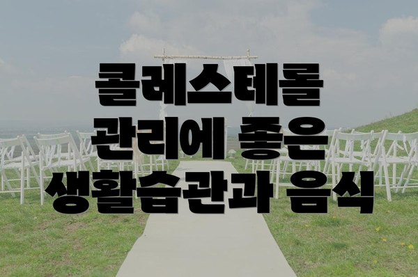 콜레스테롤 관리에 좋은 생활습관과 음식